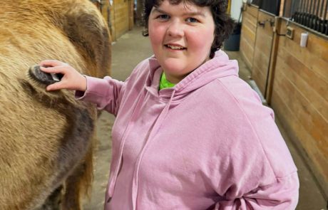 horse-pink-shirt-brush-home