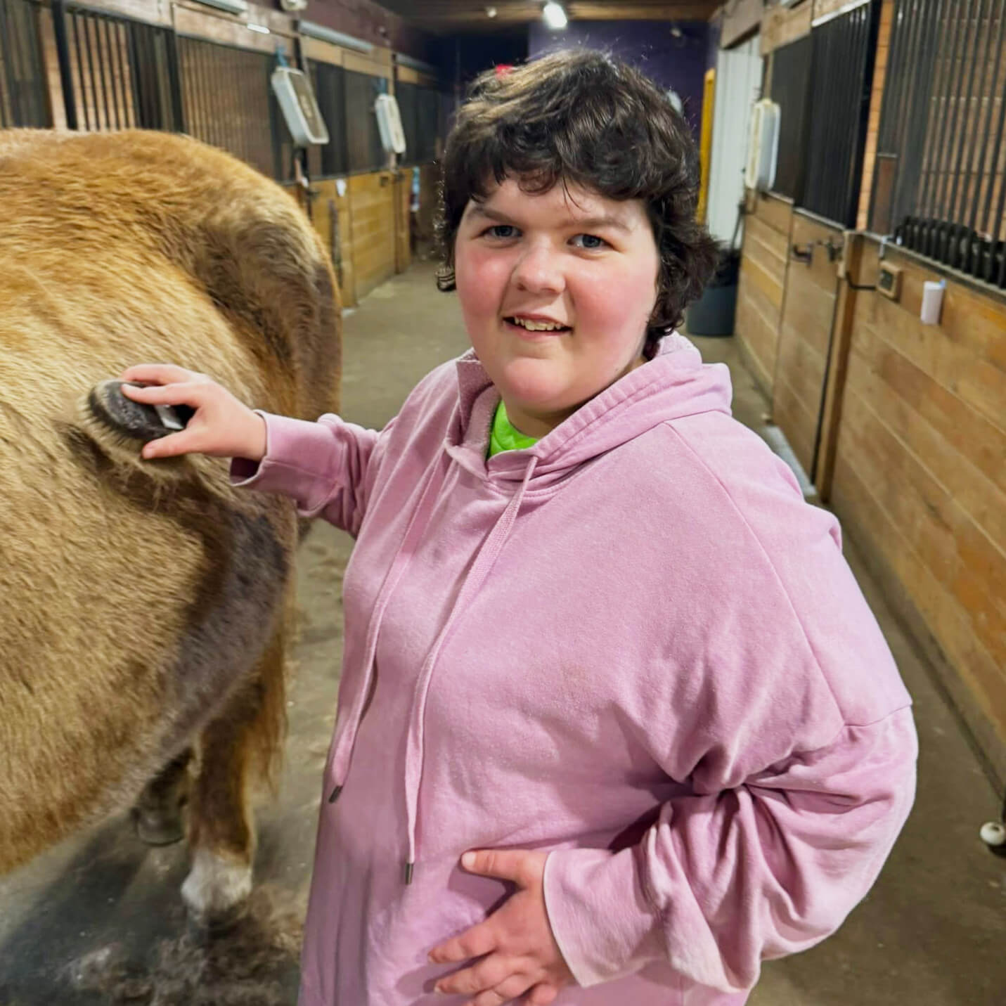 horse-pink-shirt-brush-home