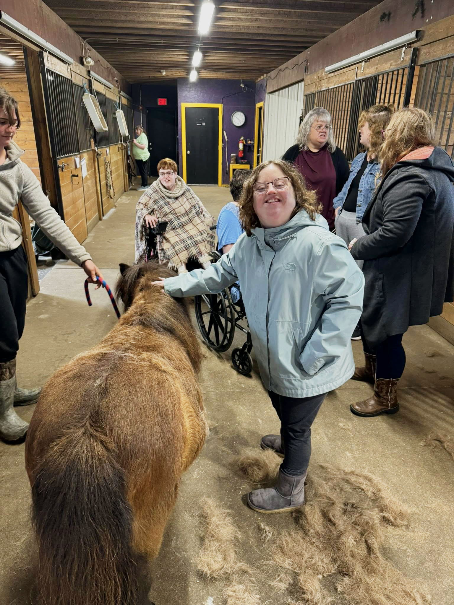 brown-horse-gray-jacket