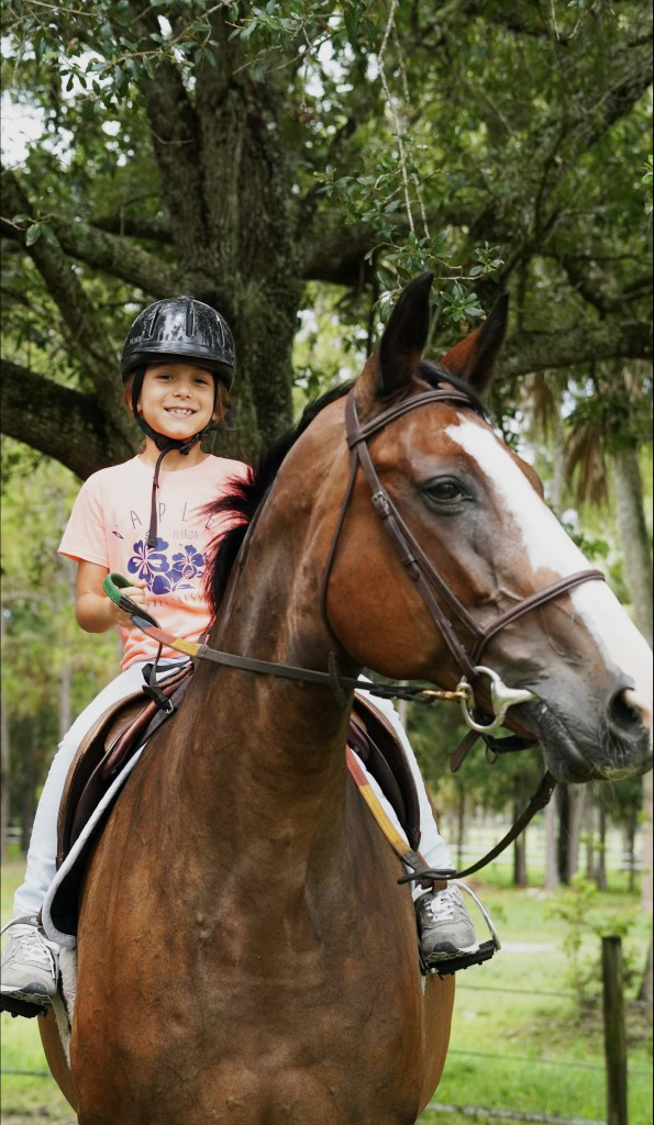 brown-horse-pink-shirt-black-helmet