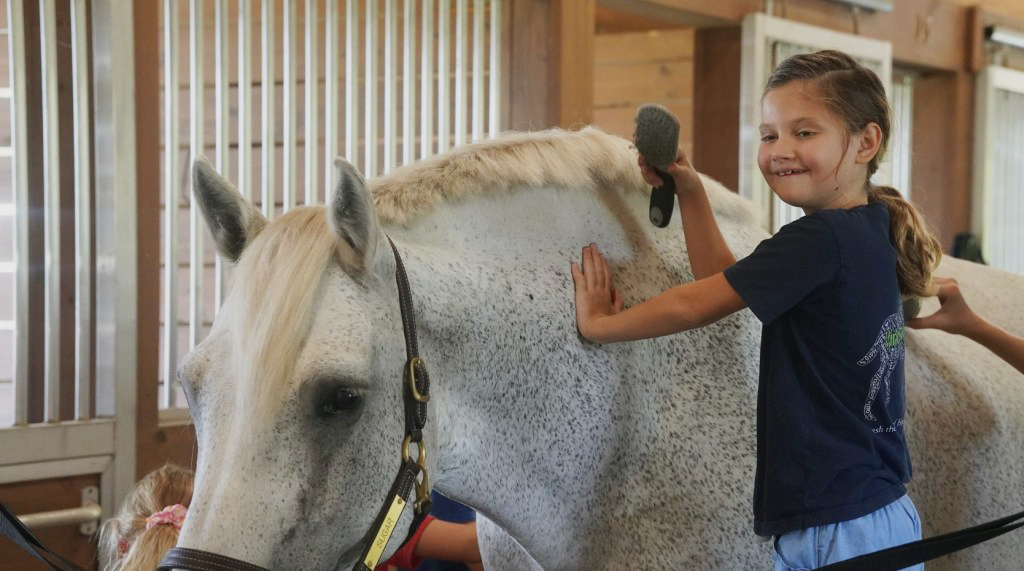 brushing-white-horse-blue-shirt